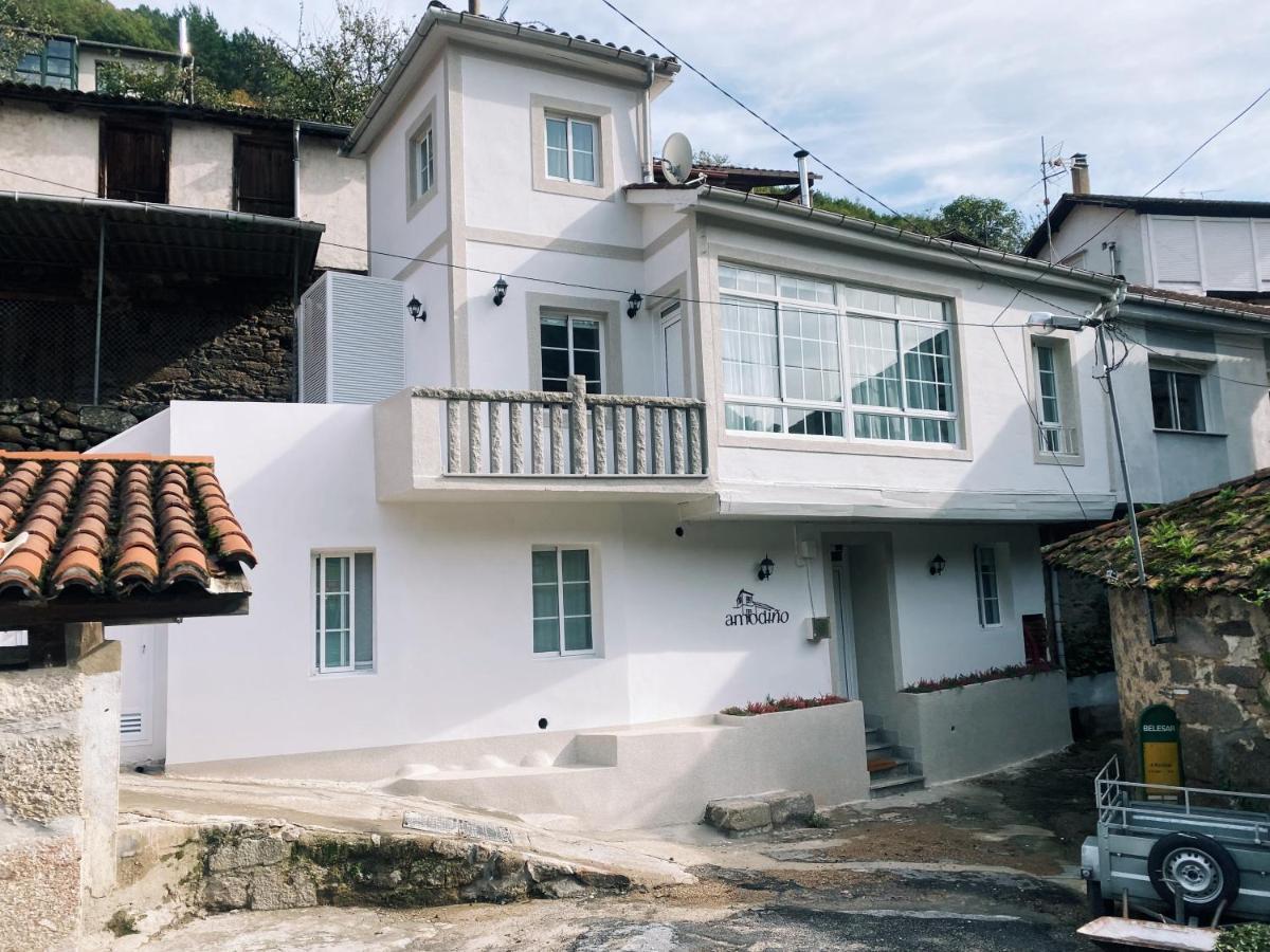 Amodino Do Camino